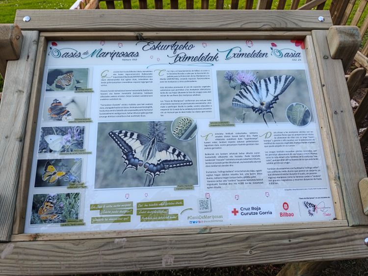 Un oasis de mariposas en el Distrito VII